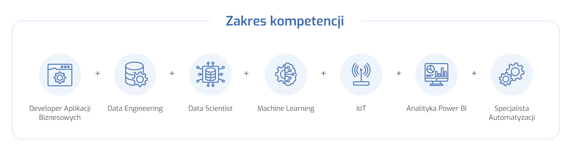 Zakres kompetencji zespołu IT: aplikacje biznesowe, Data Engineering, Data Science, Machine Learning, IoT, Power BI i automatyzacja